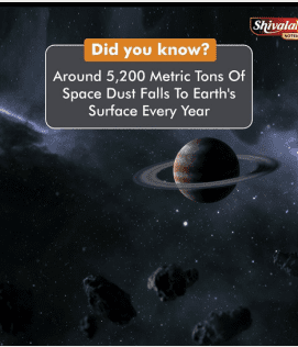 Screenshot-2023-02-20-134541.png