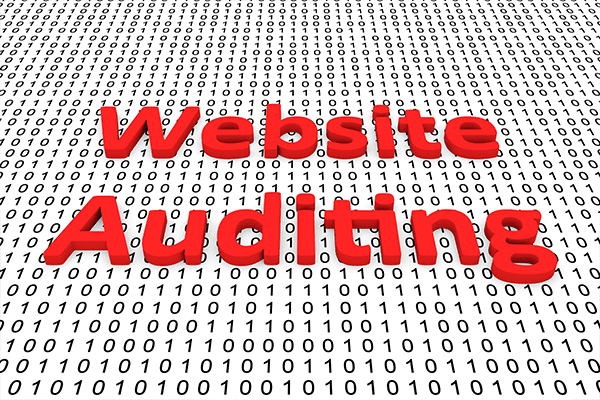 WebsiteAuditing-4.png