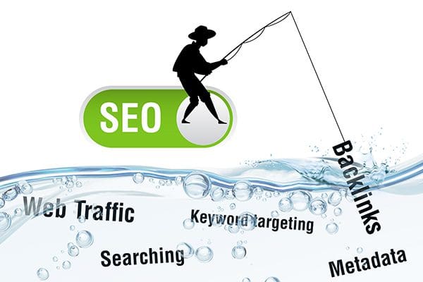 "Cheenti Raleigh link building services"