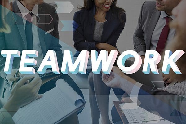 "Cheenti Team: Diverse Skills and Expertise in SEO for Raleigh Businesses"