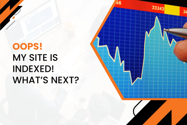 My Site Is Indexed! What’sNext (1)
